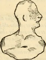 An illustration from Ethruscarum antiquitatum fragmenta : quibus vrbis Romae, aliarumque gentium primordia, mores, & res gestae indicantur (1637)