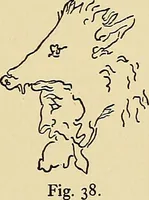 An illustration from Etruscan tomb paintings, Their subjects and significance (1922)