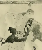 An illustration from Etruscan tomb paintings, Their subjects and significance (1922)