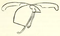 An illustration from Études sur l'antiquité historique d'après les sources egyptiennes et les monuments réputés préhistoriques (1872)