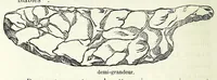 An illustration from Études sur l'antiquité historique d'après les sources egyptiennes et les monuments réputés préhistoriques (1872)
