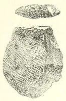 An illustration from Études sur l'antiquité historique d'après les sources egyptiennes et les monuments réputés préhistoriques (1872)