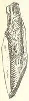 An illustration from Études sur l'antiquité historique d'après les sources egyptiennes et les monuments réputés préhistoriques (1872)