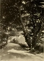 An illustration from European and Japanese gardens; papers read before the American Institute of Architects (1902)