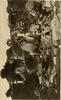 An illustration from European and Japanese gardens; papers read before the American Institute of Architects (1902)