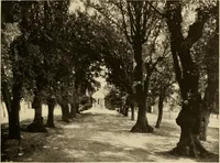 An illustration from European and Japanese gardens; papers read before the American Institute of Architects (1902)
