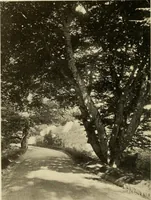 An illustration from European and Japanese gardens; papers read before the American Institute of Architects .. (1902)