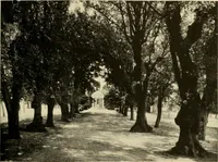 An illustration from European and Japanese gardens; papers read before the American Institute of Architects .. (1902)