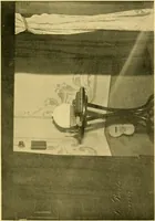 An illustration from Eusapia Palladino and her phenomena (1909)