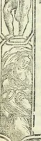 Picture 2 of 4 from Eutichia : comedia di Nicola Grasso Mantouano, intitolata Eutichia : nuouamente corretta, & con ogni diligenza stampata (1530), leaf 8
