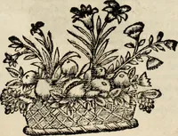 Picture 4 of 21 from Eva, e Ave, ou, Maria triumphante : theatro da erudiçam, e philosophia Christ, em que se representão os dous estados do mundo : cahido em Eva, e levantado em Ave (1700), leaf 10