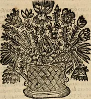 An illustration from Eva, e Ave, ou, Maria triumphante : theatro da erudiçam, e philosophia Christ, em que se representão os dous estados do mundo : cahido em Eva, e levantado em Ave (1700)