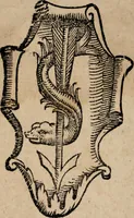 An illustration from Evangelicae conciones Dominicarum totius anni, per dialectica & rhetorica artificia breuiter tractatae, subnexis Epistolarum argumentis. De sacris concionibvs formandis compendiaria formula praefixa (1545)