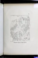 An illustration from Evangelīe v pami︠a︡tnikakh ikonografīi preimushchestvenno vizantīĭskikh i russkikh (1892)