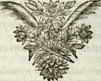 An illustration from Evangelium infantiae : vel, Liber Apocryphus de infantia servatoris (1697)