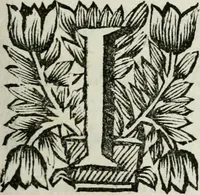 An illustration from Evangelium infantiae : vel, Liber Apocryphus de infantia servatoris (1697)