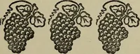 An illustration from Evans's essays; (1908)