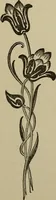 An illustration from Evans's essays; (1908)