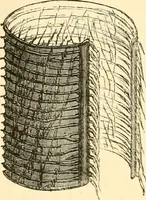 Picture 49 of 107 from Evenings at the microscope : or, Researches among the minuter organs and forms of animal life (1884), leaf 169