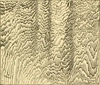 An illustration from Evenings at the microscope : or, Researches among the minuter organs and forms of animal life (1884)