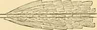 An illustration from Evenings at the microscope : or, Researches among the minuter organs and forms of animal life (1884)