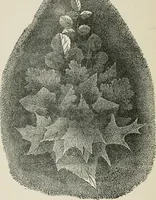 An illustration from Everybody's paint book : a complete guide to the art of outdoor and indoor painting (1905)