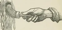 Picture 13 of 34 from Everybody's paint book : a complete guide to the art of outdoor and indoor painting (1905), leaf 32