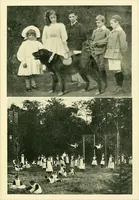 An illustration from Every boy's book of railways and steamships (1911)