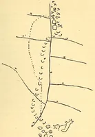 An illustration from Evolution in art: as illustrated by the life-histories of designs (1895)