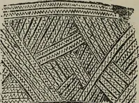 An illustration from Evolution in art : as illustrated by the life-histories of designs (1902)