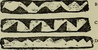 An illustration from Evolution in art : as illustrated by the life-histories of designs (1902)