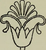 An illustration from Evolution in art : as illustrated by the life-histories of designs (1902)