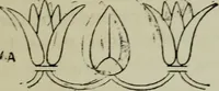An illustration from Evolution in art : as illustrated by the life-histories of designs (1902)