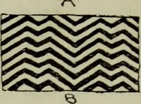 An illustration from Evolution in art : as illustrated by the life-histories of designs (1902)