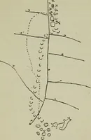 An illustration from Evolution in art : as illustrated by the life-histories of designs (1902)