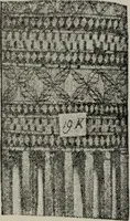An illustration from Evolution in art : as illustrated by the life-histories of designs (1902)