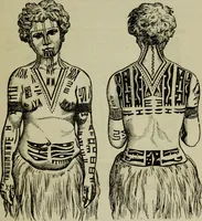 An illustration from Evolution in art : as illustrated by the life-histories of designs (1902)