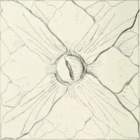 An illustration from The evolution of architectural ornament (1913)