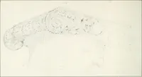 An illustration from The evolution of architectural ornament (1913)