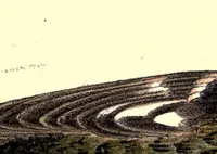 Picture 2 of 2 from Evolution of the colors of North American Land Birds (1893), leaf 397