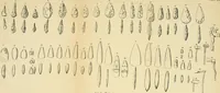 An illustration from The evolution of culture, and other essays (1906)