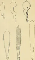 An illustration from The evolution of culture, and other essays (1906)