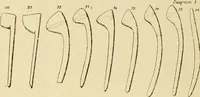 An illustration from The evolution of culture, and other essays (1906)