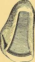 An illustration from The evolution of culture, and other essays (1906)