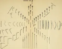 Picture 2 of 23 from The evolution of culture, and other essays (1906), leaf 73