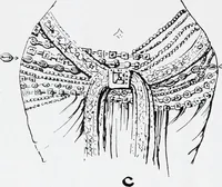 An illustration from The evolution of the dragon (1919)