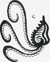An illustration from The evolution of the dragon (1919)