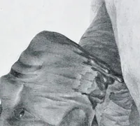 An illustration from The evolution of the dragon (1919)