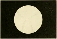 An illustration from The evolution of worlds (1909)