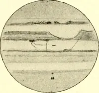 An illustration from The evolution of worlds (1909)